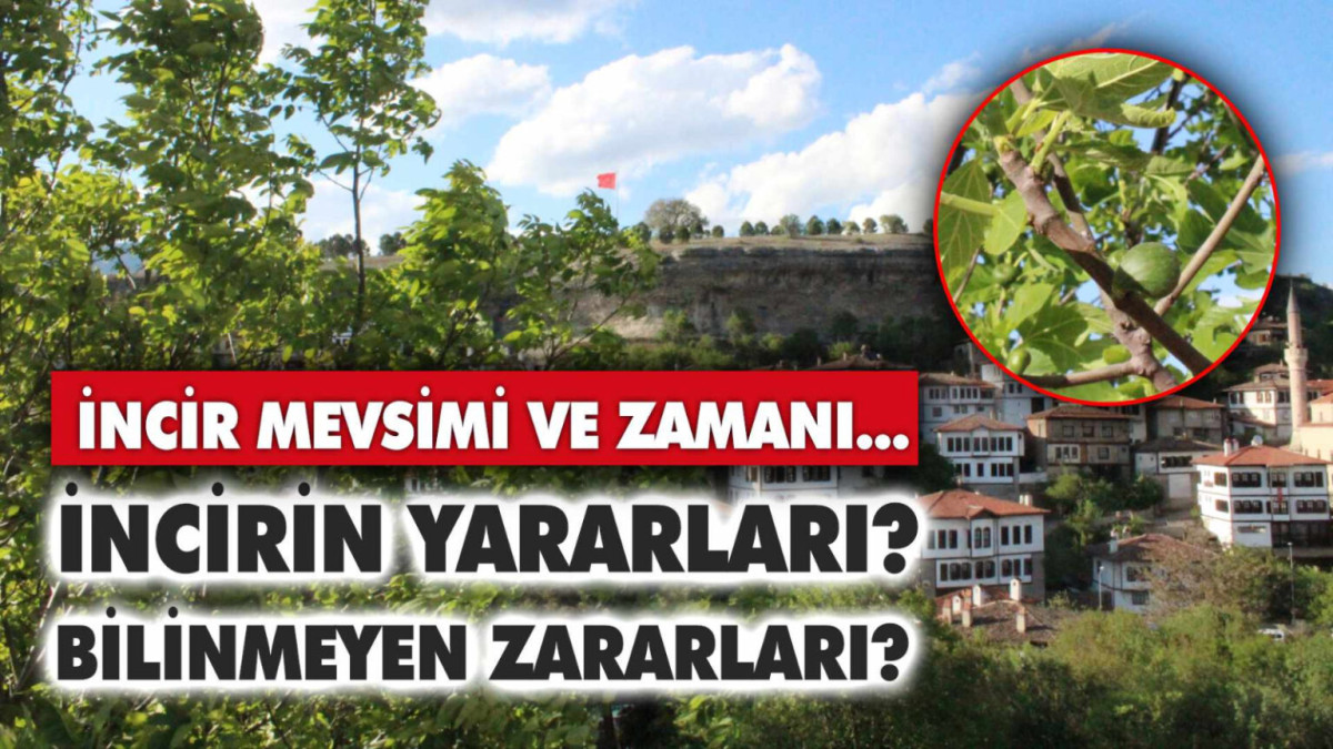 İncir meyvesinin faydaları ve zararları..?