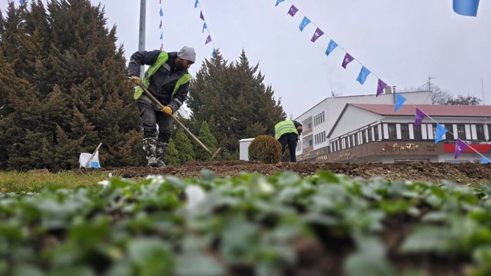 Kavşaklar ve Refüjler Mevsimlik Çiçeklerle Renklendi!